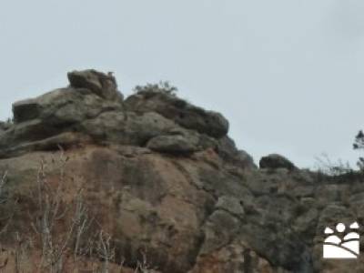 iniciacion al senderismo;rutas de senderismo en la pedriza;viajes montaña